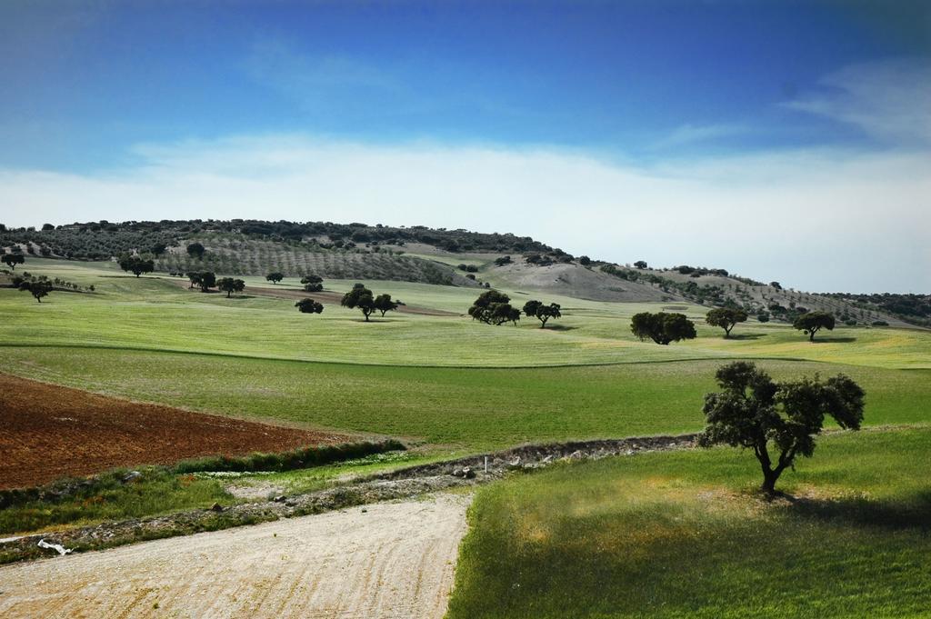 Apartamentos Turisticos Cortijo Garces Alhama de Granada Exteriör bild